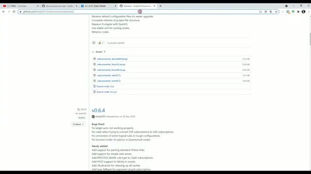 BitzNet用户进阶：本地订阅转换完全指南，彻底告别节点被盗风险